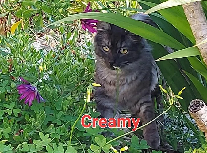 Apartamento Sa Domu 'e Pisittu Iglesias