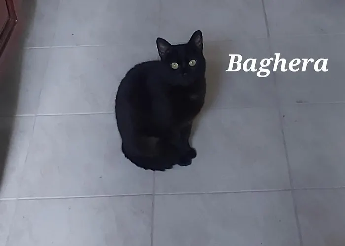 Sa Domu 'e Pisittu Apartamento